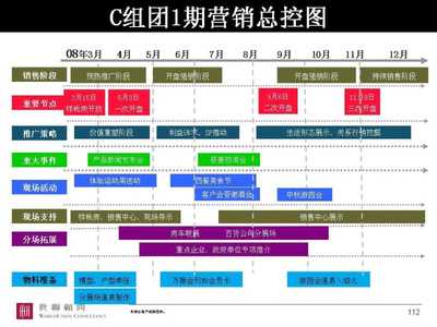 世聯(lián)安徽合肥萬(wàn)振房地產(chǎn)項(xiàng)目市場(chǎng)營(yíng)銷策劃總綱